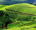 Cochin to Munnar Motorcycle Trip