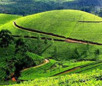 Cochin to Munnar Motorcycle Trip